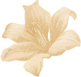 Safeway Wellness Spa and Salon